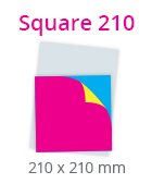 STLKFLDSQ2101