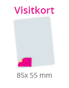 STLKFLYVST1