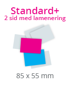 STLKVSTSTD21